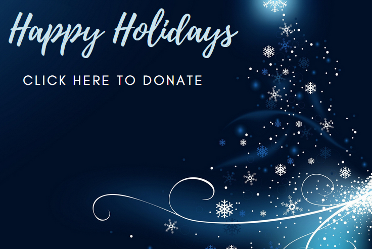 E - holiday - donate